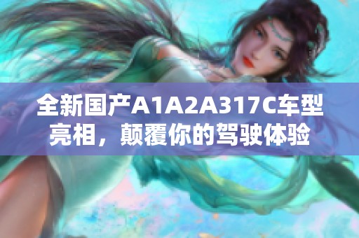 全新国产A1A2A317C车型亮相，颠覆你的驾驶体验