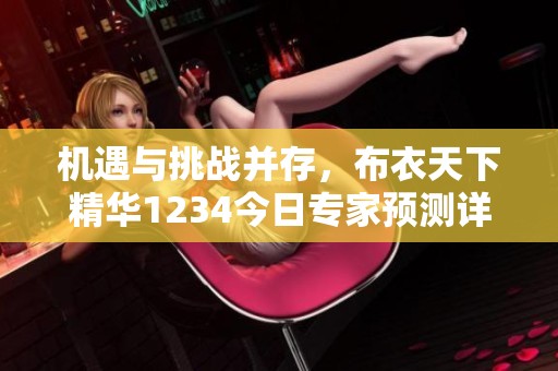 机遇与挑战并存，布衣天下精华1234今日专家预测详解