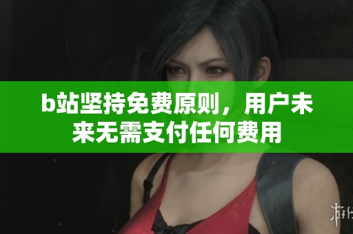 b站坚持免费原则，用户未来无需支付任何费用