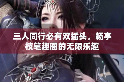 三人同行必有双插头，畅享枝笔趣阁的无限乐趣