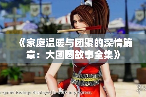 《家庭温暖与团聚的深情篇章：大团圆故事全集》