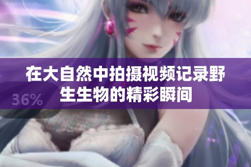 在大自然中拍摄视频记录野生生物的精彩瞬间