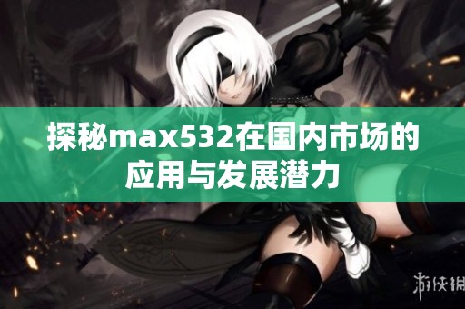 探秘max532在国内市场的应用与发展潜力
