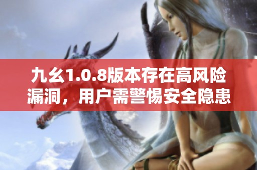 九幺1.0.8版本存在高风险漏洞，用户需警惕安全隐患