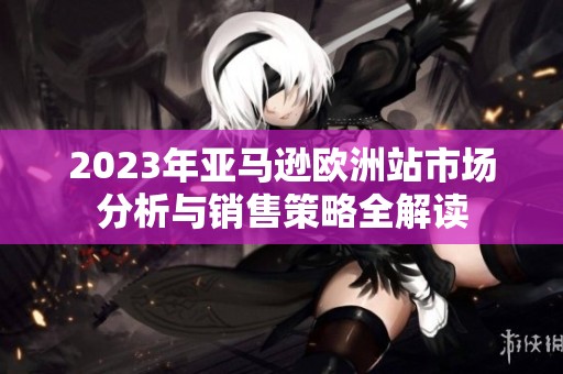 2023年亚马逊欧洲站市场分析与销售策略全解读