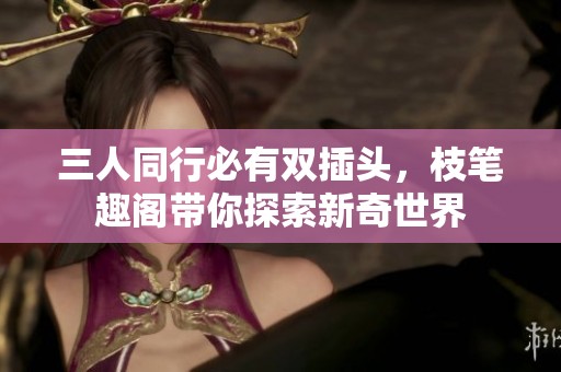 三人同行必有双插头，枝笔趣阁带你探索新奇世界