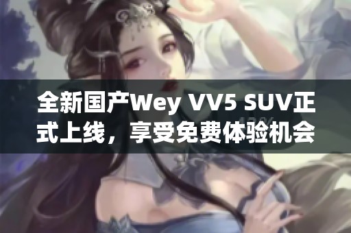 全新国产Wey VV5 SUV正式上线，享受免费体验机会