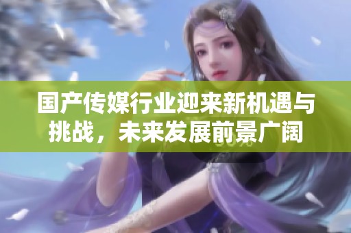 国产传媒行业迎来新机遇与挑战，未来发展前景广阔