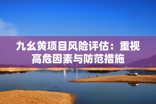 九幺黄项目风险评估：重视高危因素与防范措施