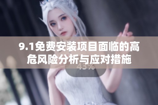 9.1免费安装项目面临的高危风险分析与应对措施