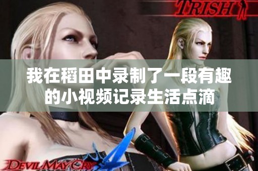 我在稻田中录制了一段有趣的小视频记录生活点滴