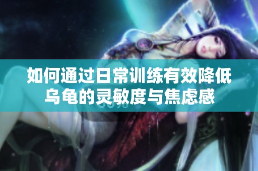 如何通过日常训练有效降低乌龟的灵敏度与焦虑感