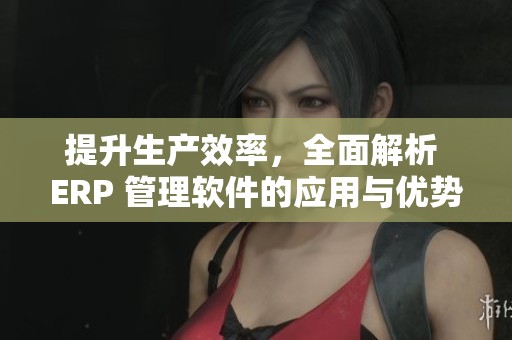 提升生产效率，全面解析 ERP 管理软件的应用与优势
