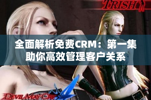 全面解析免费CRM：第一集助你高效管理客户关系