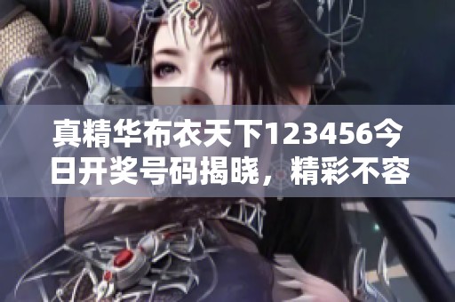 真精华布衣天下123456今日开奖号码揭晓，精彩不容错过