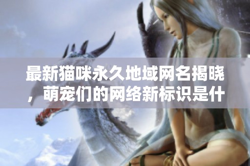 最新猫咪永久地域网名揭晓，萌宠们的网络新标识是什么？