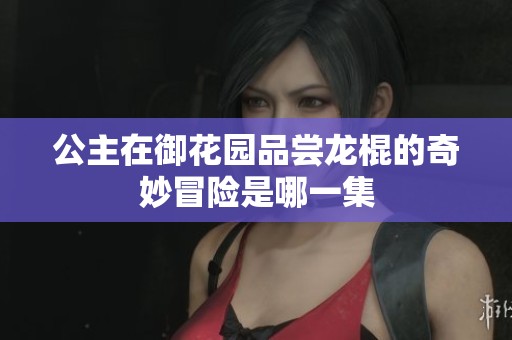 公主在御花园品尝龙棍的奇妙冒险是哪一集