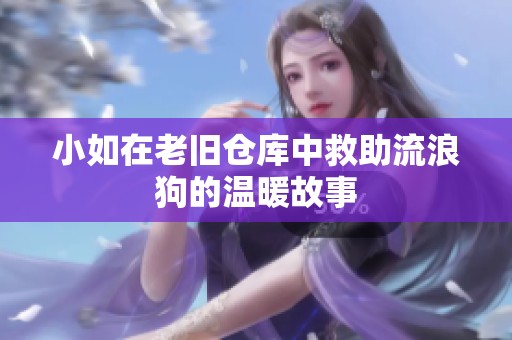 小如在老旧仓库中救助流浪狗的温暖故事