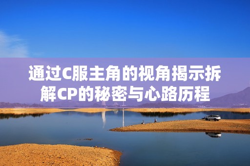 通过C服主角的视角揭示拆解CP的秘密与心路历程