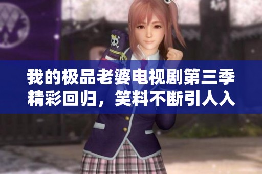 我的极品老婆电视剧第三季精彩回归，笑料不断引人入胜