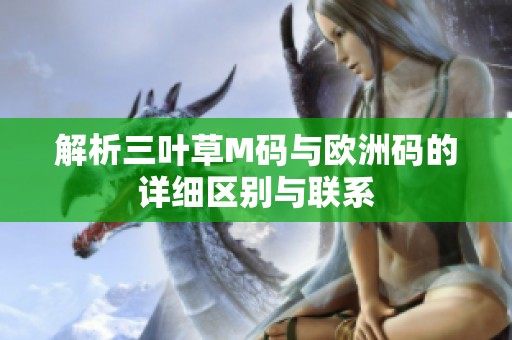 解析三叶草M码与欧洲码的详细区别与联系