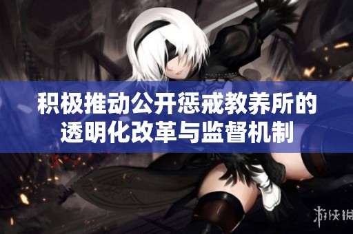 积极推动公开惩戒教养所的透明化改革与监督机制