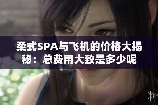 柔式SPA与飞机的价格大揭秘：总费用大致是多少呢