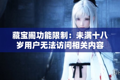 藏宝阁功能限制：未满十八岁用户无法访问相关内容