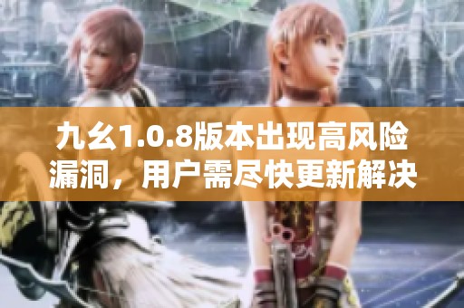 九幺1.0.8版本出现高风险漏洞，用户需尽快更新解决办法