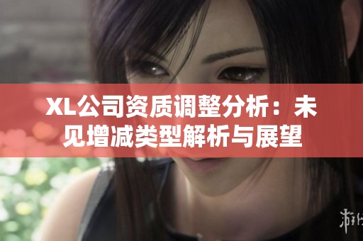 XL公司资质调整分析：未见增减类型解析与展望