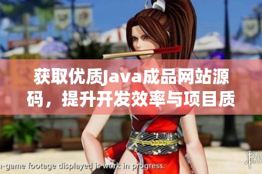 获取优质Java成品网站源码，提升开发效率与项目质量