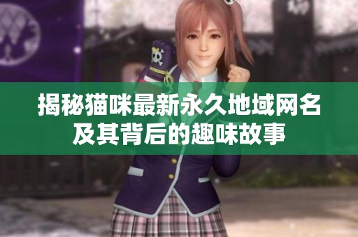 揭秘猫咪最新永久地域网名及其背后的趣味故事