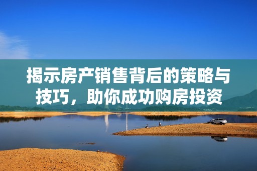 揭示房产销售背后的策略与技巧，助你成功购房投资