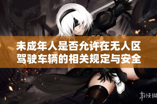 未成年人是否允许在无人区驾驶车辆的相关规定与安全考量