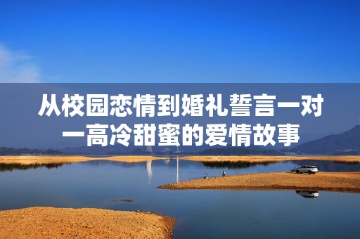 从校园恋情到婚礼誓言一对一高冷甜蜜的爱情故事