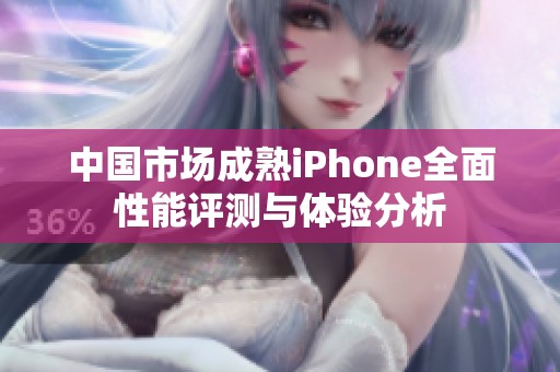 中国市场成熟iPhone全面性能评测与体验分析