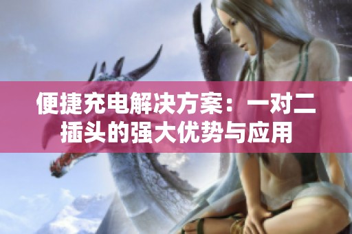 便捷充电解决方案：一对二插头的强大优势与应用