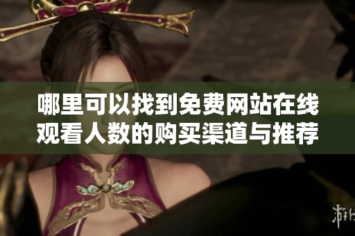 哪里可以找到免费网站在线观看人数的购买渠道与推荐