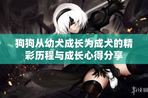 狗狗从幼犬成长为成犬的精彩历程与成长心得分享