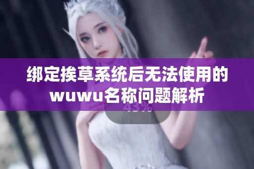 绑定挨草系统后无法使用的wuwu名称问题解析