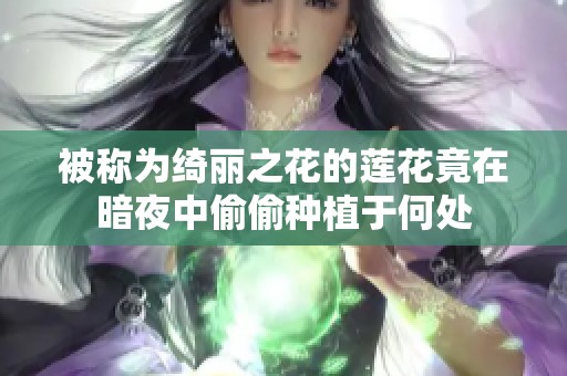 被称为绮丽之花的莲花竟在暗夜中偷偷种植于何处