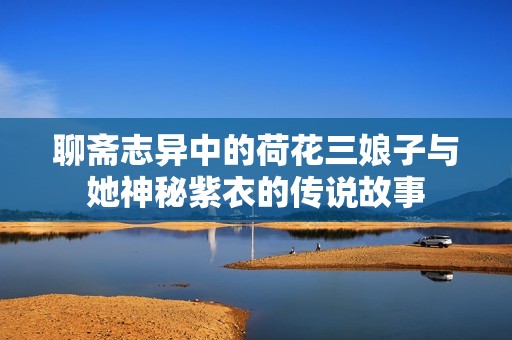 聊斋志异中的荷花三娘子与她神秘紫衣的传说故事