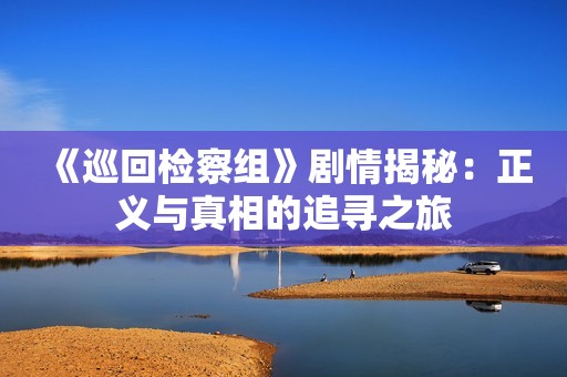《巡回检察组》剧情揭秘：正义与真相的追寻之旅