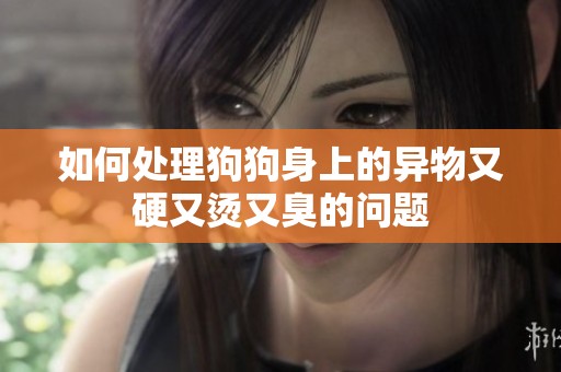 如何处理狗狗身上的异物又硬又烫又臭的问题