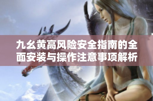 九幺黄高风险安全指南的全面安装与操作注意事项解析