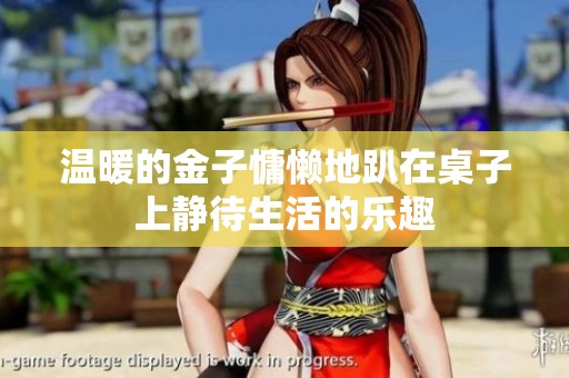 温暖的金子慵懒地趴在桌子上静待生活的乐趣