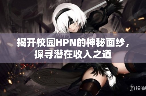 揭开校园HPN的神秘面纱，探寻潜在收入之道