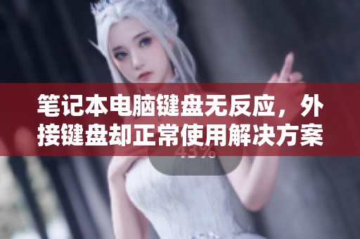 笔记本电脑键盘无反应，外接键盘却正常使用解决方案探讨