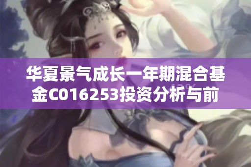 华夏景气成长一年期混合基金C016253投资分析与前景展望