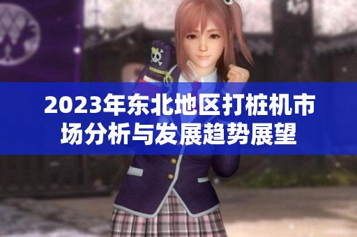 2023年东北地区打桩机市场分析与发展趋势展望